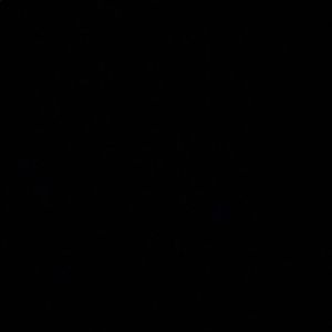 Meet your Posher, Mabel